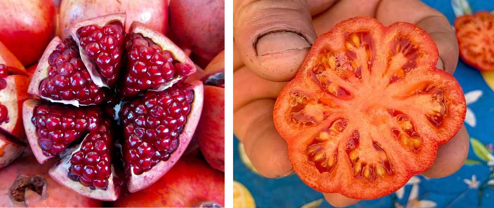 photos of sliced pomegranate and tomato by Naava Koblenz